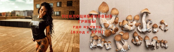 дурь Вяземский