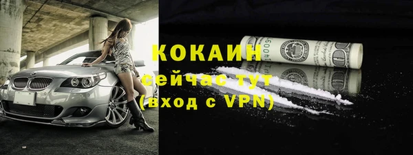дурь Вяземский