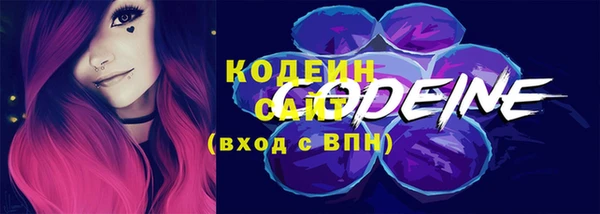 дурь Вяземский
