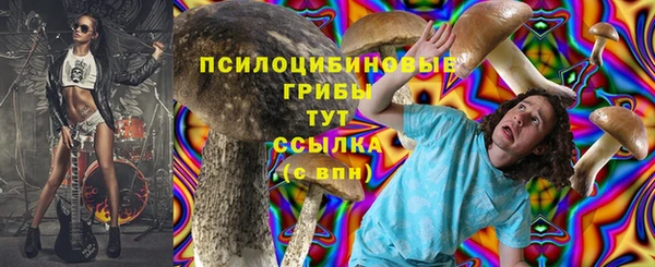 дурь Вяземский