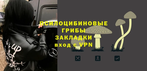 не бодяженный Строитель