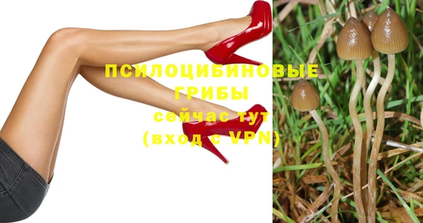 круглые Вязьма