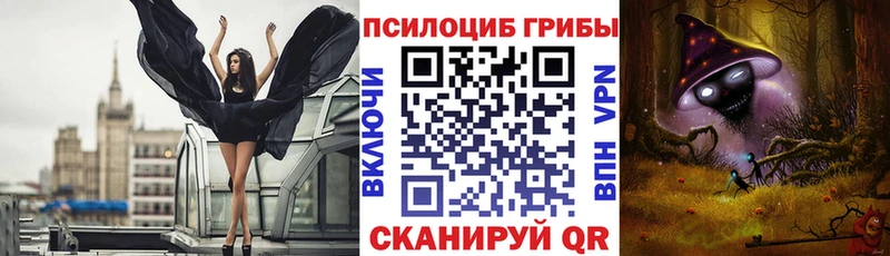 Галлюциногенные грибы Cubensis  Купить где  Нурлат 